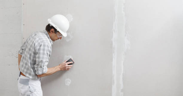 Trusted Petersburg, VA Dry wall and painting Experts